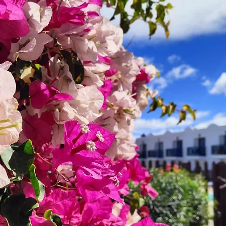 Momi-s House Dunas By Momifuerteventura