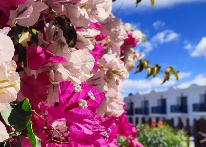 Momi-s House Dunas By Momifuerteventura